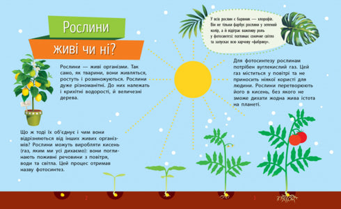 Чомусики. Рослини